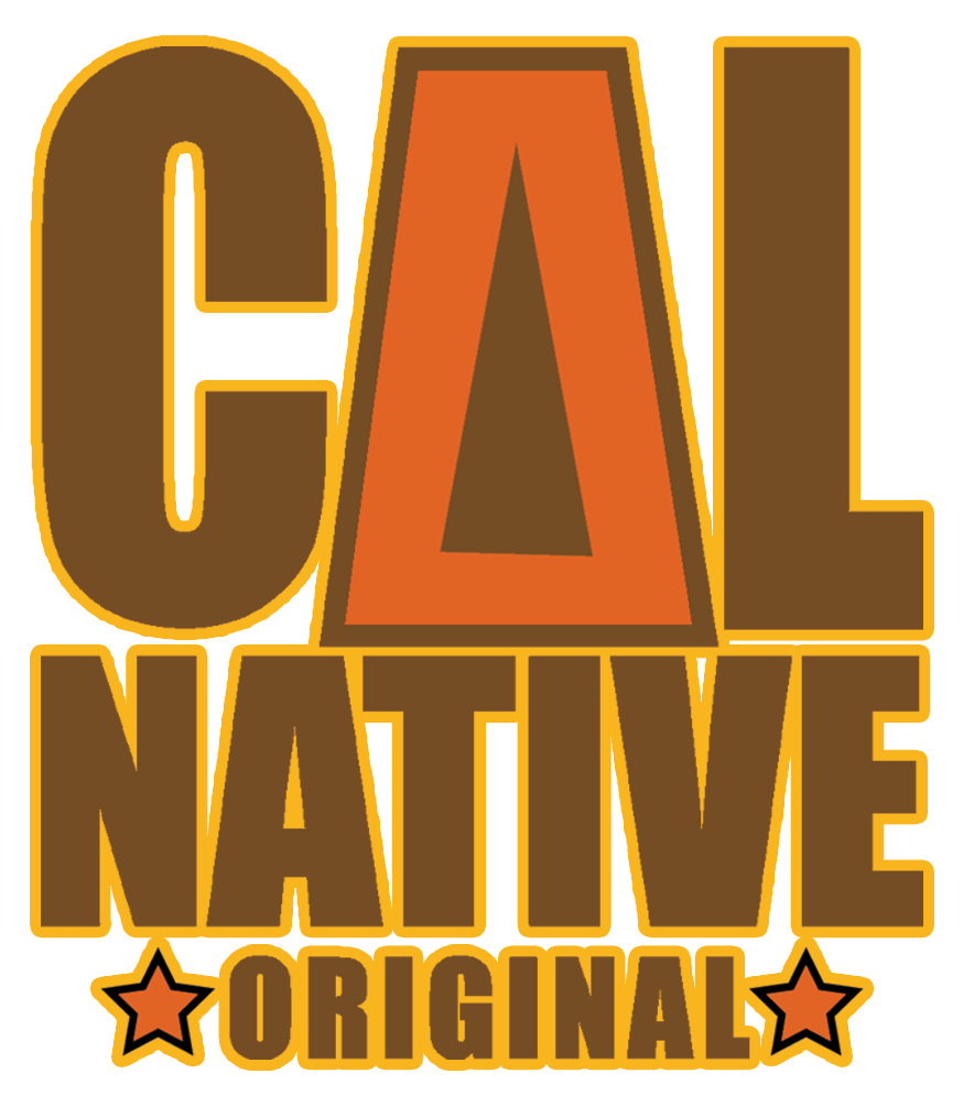 California Cities